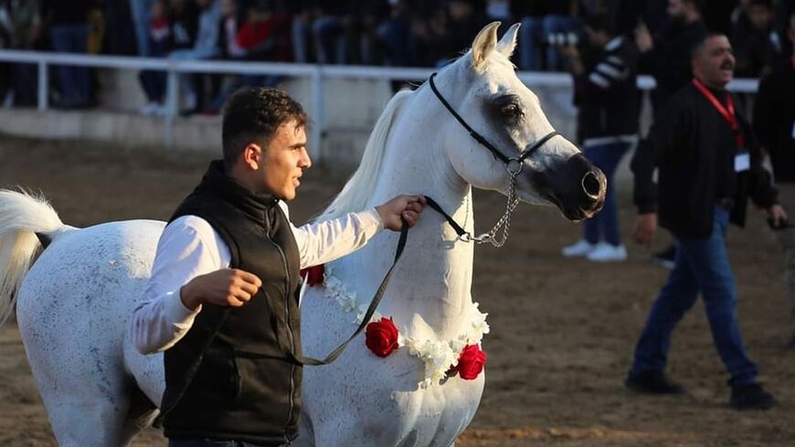 Horses in Gaza