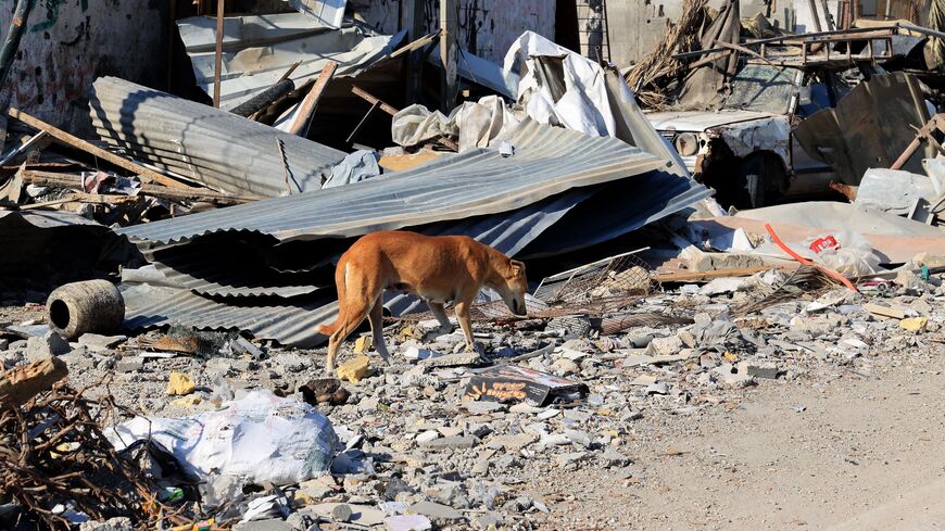 EDITORS NOTE: Graphic content / A dog wonders past debris following an Israeli airstrike in Rafah, in the southern of Gaza Strip, on October 16, 2023. The death toll from Israeli strikes on the Gaza Strip has risen to around 2,750 since Hamas's deadly attack on southern Israel last week, the Gaza health ministry said October 16. Some 9,700 people have also been injured as Israel continued its withering air campaign on targets in the Palestinian coastal enclave, the Hamas-controlled ministry added. (Photo by