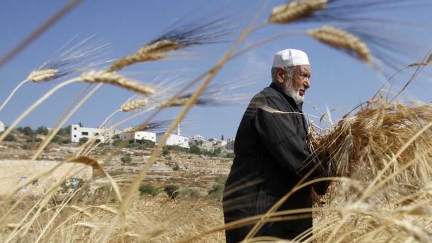 A Palestinian harvests wheat in the West Bank village of Luban al-Sharkiya near Nablus June 27, 2012. REUTERS/Mohamad Torokman (WEST BANK - Tags: SOCIETY AGRICULTURE) - RTR347LX
