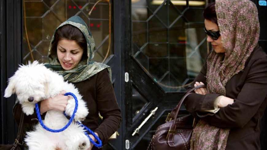 An Iranian woman stands in front of a bank as she holds a dog in Tehran November 13, 2005. The entrance of dogs and other pets into governmental buildings is prohibited in Iran. REUTERS/Morteza Nikoubazl - RTR1AVX1