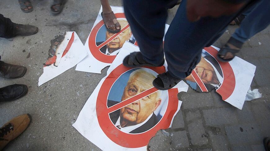 Palestinians step on crossed-out posters depicting late former Israeli Prime Minister Ariel Sharon as they celebrate his passing in Khan Younis in the southern Gaza Strip January 11, 2014.  Sharon, the trailblazing warrior-statesman who transformed the region and was reviled by Arab foes over generations of conflict, died on Saturday at 85 eight years after suffering a massive stroke. Palestinians in Gaza were handing out sweets to passersby and motorists in celebration of Sharon's passing. REUTERS/Ibraheem