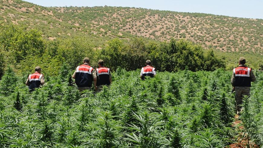 Turkish soldiers arrive to destroy marijuana plants during an operation on June 20, 2013, at Lice in Diyarbakir.  AFP PHOTO/STRINGER        (Photo credit should read STRINGER/AFP/Getty Images)