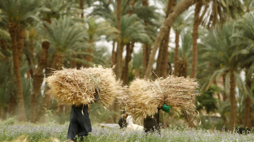 Egyptian farmers harvest wheat in a village near Aswan April 26, 2009. REUTERS/Asmaa Waguih   (EGYPT AGRICULTURE SOCIETY) - RTXEF4U
