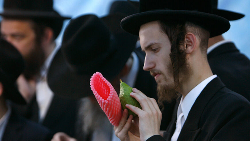 An Ultra-Orthodox Jew checks a citron for blemishes before buying it at the special market in Jerusalem, September 24, 2007. The myrtle is used in rituals during the week-long Jewish holiday of Sukkot, which begins Wednesday at sundown.    REUTERS/Ronen Zvulun (JERUSALEM) - RTR1U7LE