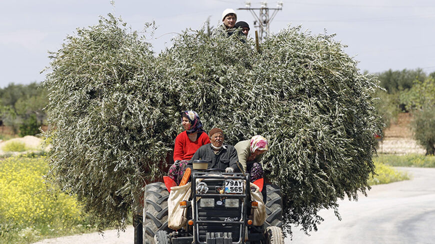 Villagers drive a tractor carrying olive tree branches near the border city of Kilis in Gaziantep province April 21, 2012. REUTERS/Murad Sezer (TURKEY - Tags: SOCIETY TRANSPORT) - RTR310YB