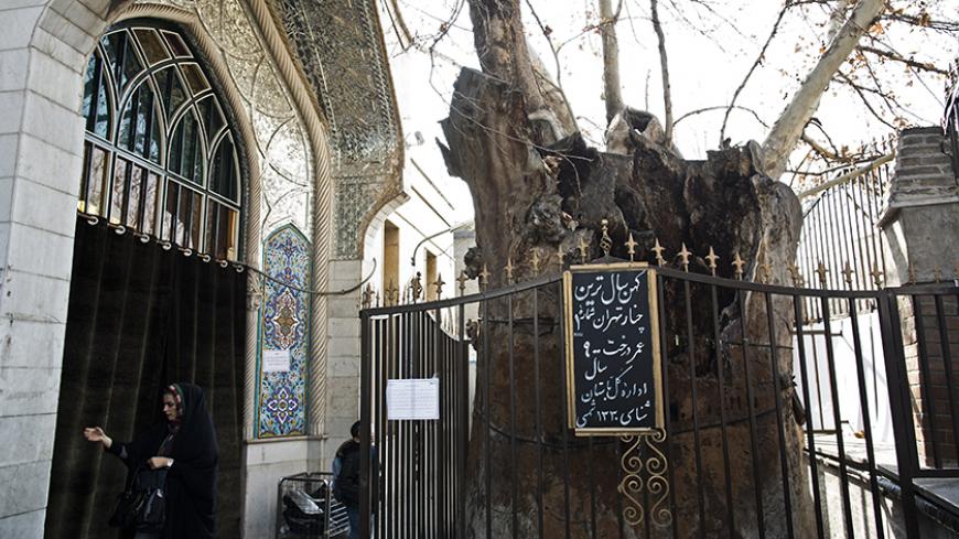 A 900-year-old sycamore tree (plane tree), which is one of the eldest trees in the Iranian capital, stands in the courtyard of the shrine of Emamzadeh Yahya in downtown Tehran on December 30, 2014.  AFP PHOTO/BEHROUZ MEHRI        (Photo credit should read BEHROUZ MEHRI/AFP/Getty Images)