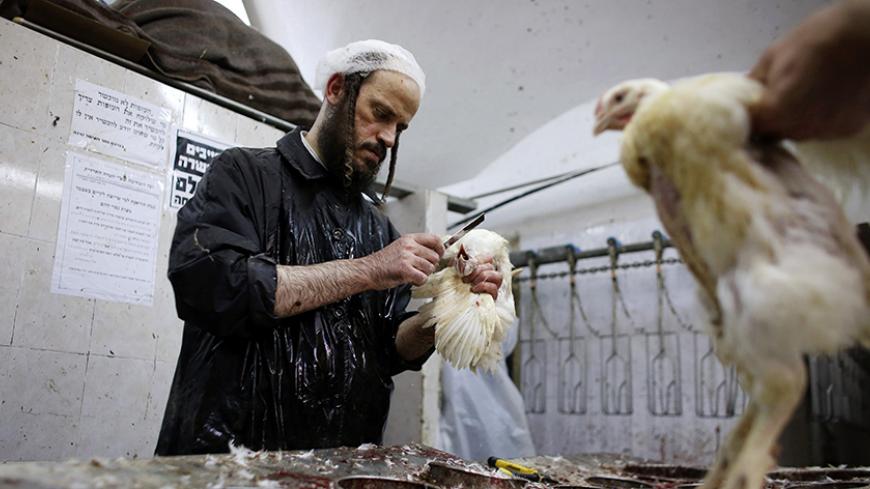 An ultra-Orthodox Jewish man slaughters a chicken as part of the Kaparot ritual in Jerusalem's Mea Shearim neighbourhood, September 12, 2013, ahead of Yom Kippur, the Jewish Day of Atonement, which starts at sundown on Friday. Kaparot is an ancient custom connected to Yom Kippur, where white chickens are slaughtered as a symbolic gesture of atonement. REUTERS/Ammar Awad (JERUSALEM - Tags: RELIGION ANIMALS) - RTX13J2P