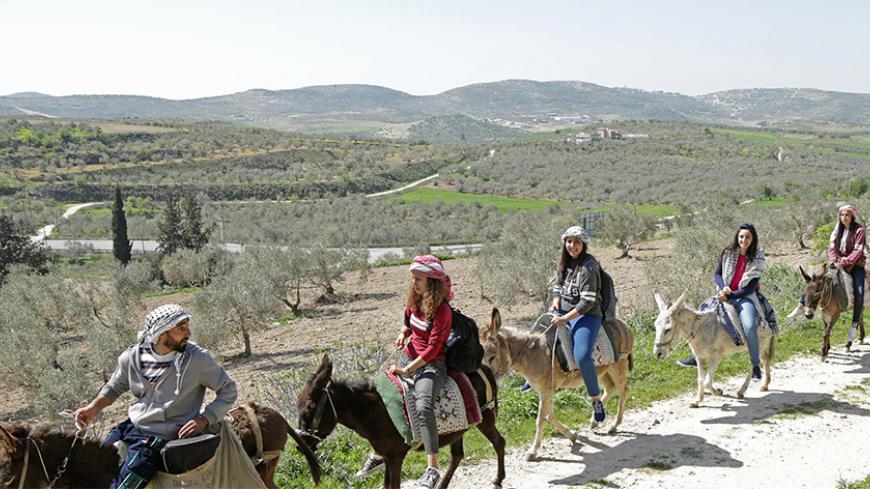 Palestine_donkey.jpg