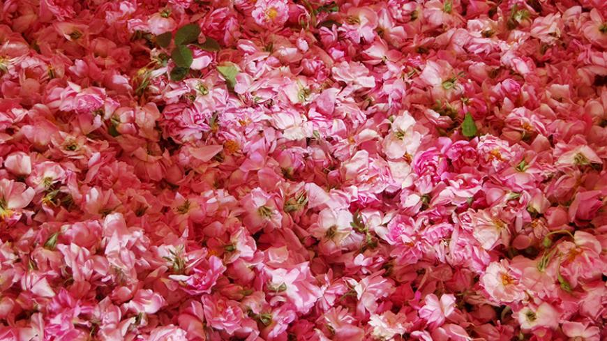 Roses and rose leaves are pictured at a rose-oil plant in Isparta, Turkey, May 31, 2015. Turkey's harvest of its prized Damascus rose, set to end this weekend, transforms 16 million square m (4,000 acres) of land into beds of pink and perfumes the air around the town of Isparta, the world's biggest producer of Damascus roses and their costly oil, each June. Picture taken May 31, 2015. To match TURKEY-ROSES/ REUTERS/Ayla Jean Yackley - RTX1IW1U