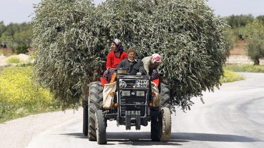 Villagers drive a tractor carrying olive tree branches near the border city of Kilis in Gaziantep province April 21, 2012. REUTERS/Murad Sezer (TURKEY - Tags: SOCIETY TRANSPORT) - GM1E84L1OQW01