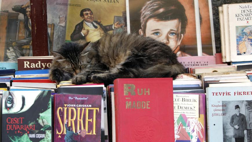A stray cat sleeps over books as he shades at a second hand book store during a hot summer day in down town Istanbul June 26, 2009. REUTERS/Murad Sezer (TURKEY SOCIETY) FOR BEST QUALITY IMAGE ALSO SEE: GM1E83E1J6T01 - GM1E56R0GPG01
