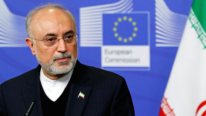 Iran's nuclear chief Ali Akbar Salehi attends a joint news conference with EU Energy Commissioner Miguel Arias Canete at the EC headquarters in Brussels, Belgium November 26, 2018.  REUTERS/Yves Herman - RC139B6FBB00