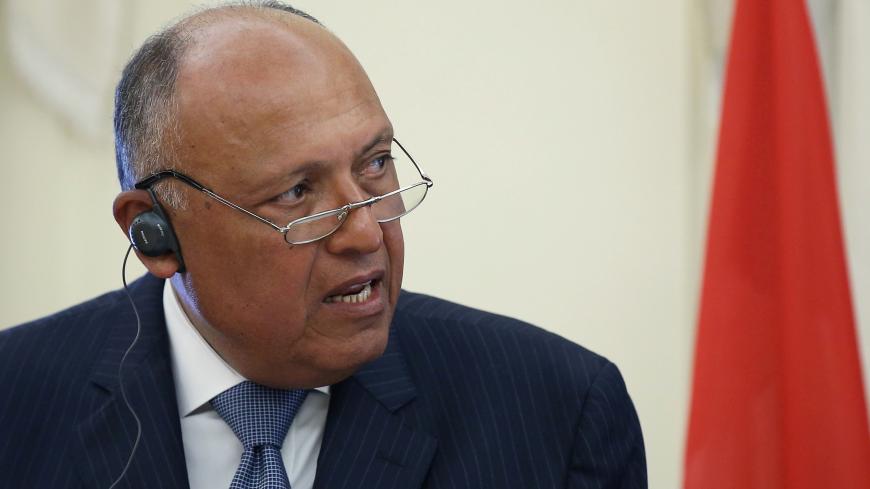 Egyptian Foreign Minister Sameh Shoukry addresses journalists during a joint press conference with his Greek counterpart Nikos Dendias (not pictured) following a meeting at the Foreign Ministry in Athens, Greece July 30, 2019. REUTERS/Costas Baltas - RC130150F8D0