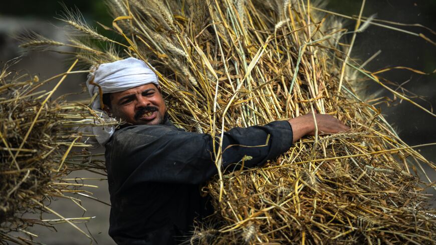 An Egyptian farmer harvests wheat in Saqiyat al-Manqadi village in the northern Nile Delta province of Menoufia in Egypt, on May 1, 2019.