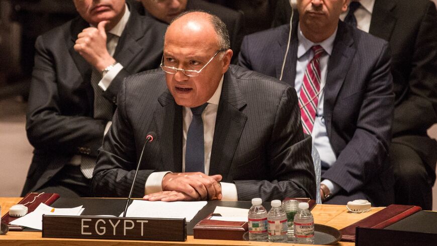 Shoukry at Security Council