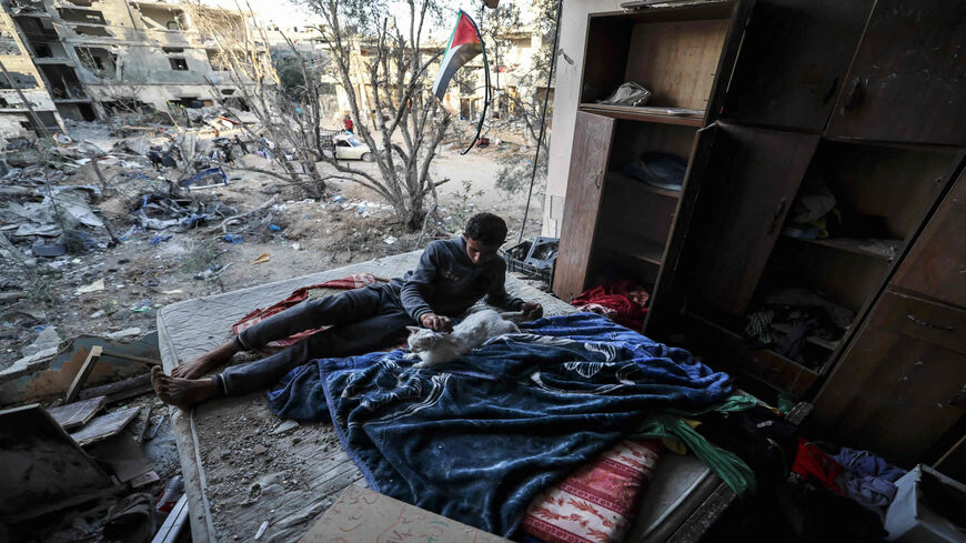 A Palestinian youth pets a cat in a building heavily damaged during recent Israeli strikes, Beit Hanun, northern Gaza Strip, on June 1, 2021.