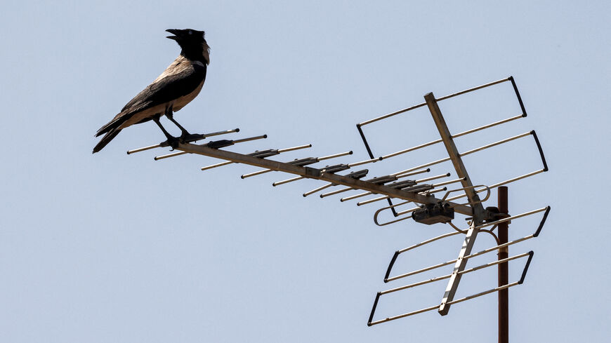 ATTA KENARE/AFP via Getty Images