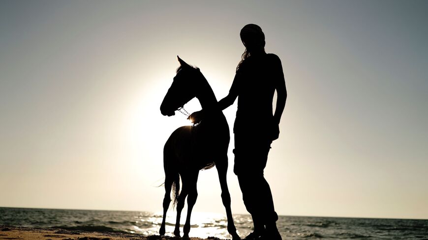 Gaza horse