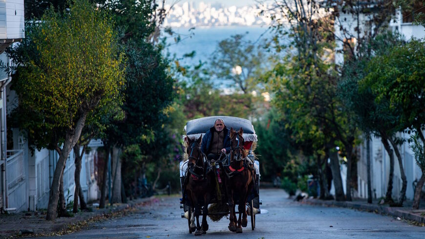 A horse drawn carriage passes by in a street on the island of Buyukada off Istanbul on Nov. 29, 2019. 