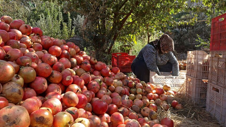 Farmers in western Idlib celebrate pomegranate harvest - Al-Monitor: Independent, trusted coverage of the Middle East