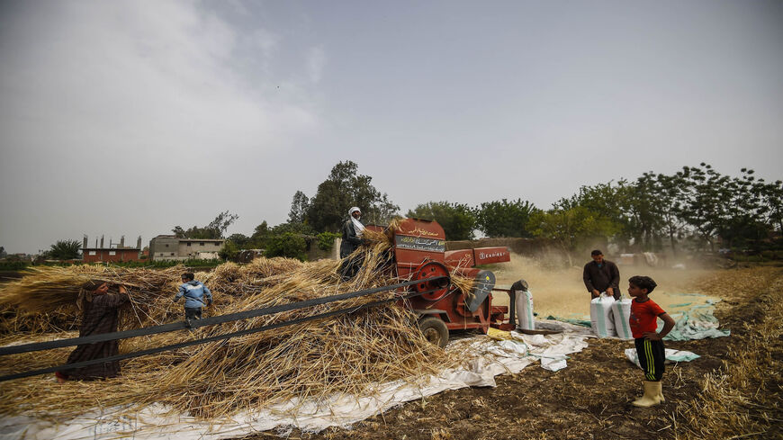 Egyptian workers harvest wheat in Saqiyat al-Manqadi village in the northern Nile delta province of Menoufia, Egypt, May 1, 2019.