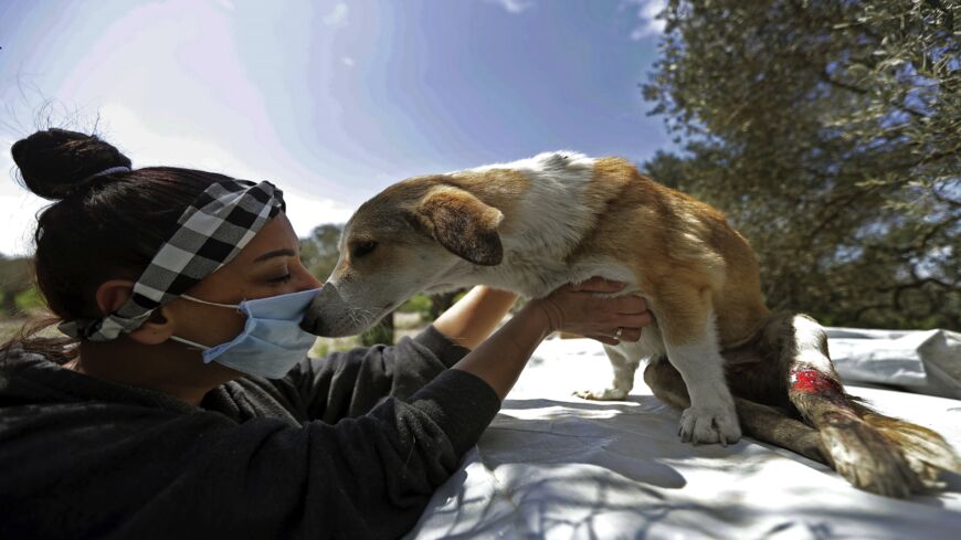 Economic meltdown in Lebanon leaves pets homeless - Al-Monitor:  Independent, trusted coverage of the Middle East