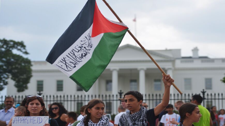 Youths wave a Palestinian flag outside of the White House on Aug. 9, 2014, in Washington, DC.