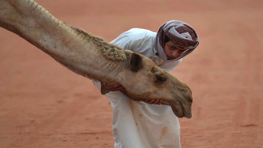 A Saudi boy poses for a photo with a camel at the King Abdulaziz Camel Festival in Rumah, March 29, 2017.