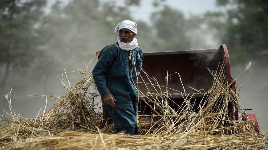 An Egyptian farmer harvests wheat in Saqiyat al-Manqadi village in the northern Nile Delta province of Menoufia, Egypt, May 1, 2019.