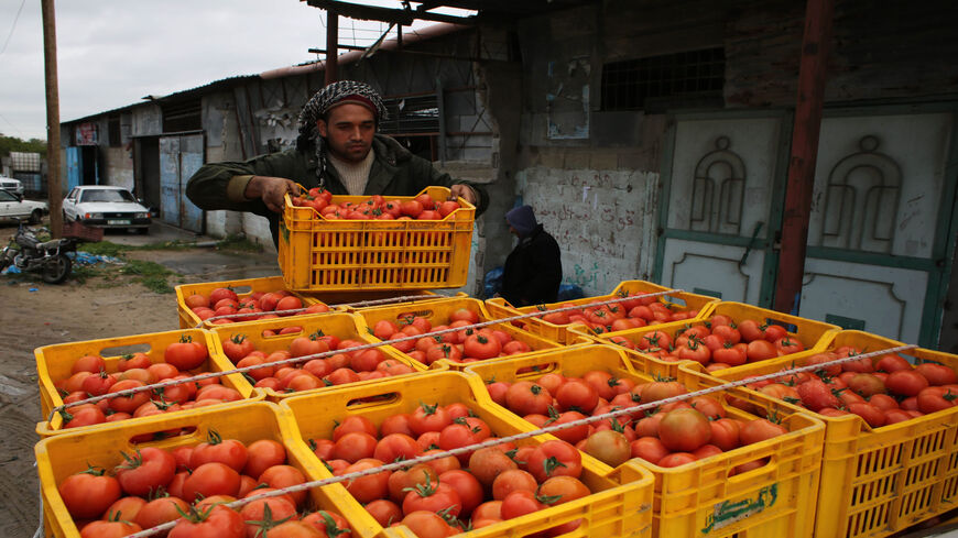 A Palestinian laborer stacks tomato crates at a farm in Rafah, southern Gaza Strip, March 12, 2015.