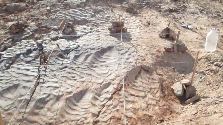 Dinosaur footprints in Egypt's Western Desert.