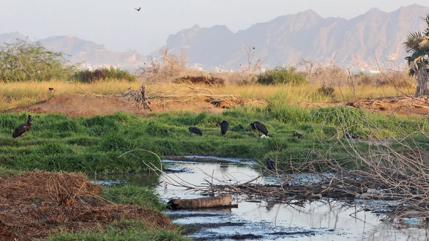 Yemen's Al-Heswa nature reserve has become a garbage-strewn wasteland reeking of sewage