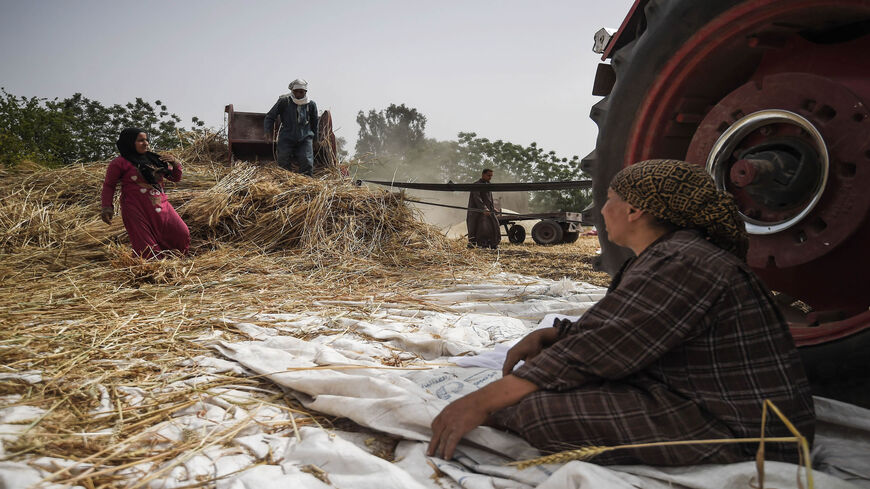 Egyptian farmers harvest wheat in Saqiyat al-Manqadi village in the northern Nile Delta province of Menoufia, Egypt, May 1, 2019.
