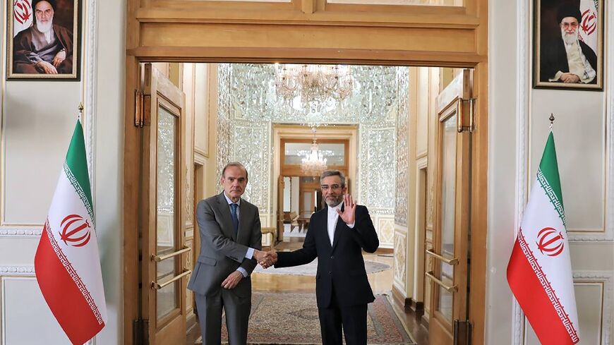 Iranian Deputy Foreign Minister and chief nuclear negotiator Ali Bagheri (L) welcomesEU deputy foreign policy chief Enrique Mora in the capital Tehran