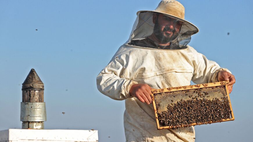 A Syrian beekeeper picks honey from his hives.