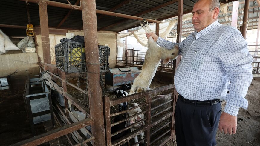 An outbreak of foot and mouth disease in the West Bank has killed thousands of livestock, pushing Palestinian farmers like Mohammed Basheer to the brink of bankruptcy
