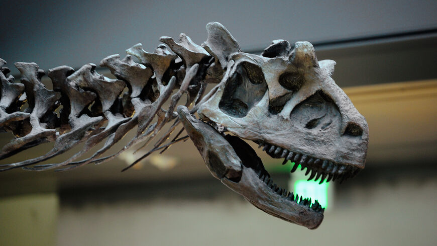 New dinosaur fossil discovered in Egyptian desert - Al-Monitor
