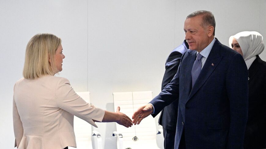 Sweden's Prime Minister Magdalena Andersson (L) shakes hands with Turkey's President Recep Tayyip Erdogan.