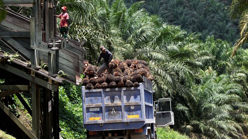 A picture taken on Sept. 25, 2011, shows a worker loading palm oil fruits onto a lorry at a plantation in Bintulu Sarawak.