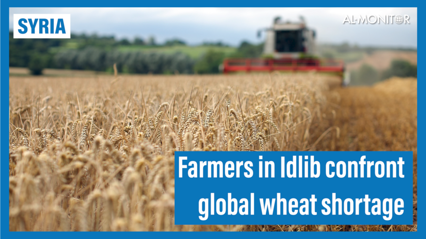 Farmers in Syria's Idlib confront global wheat shortage