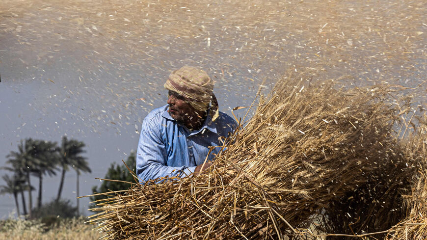 An Egyptian farmer takes part in the wheat harvest in Bamha village near al-Ayyat town, Giza province, Egypt,  May 17, 2022.