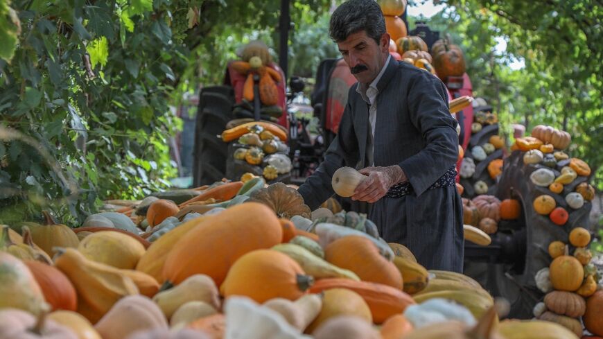 Iraqi Kurdish farmer Azad Muhamad, known as the Halabja model farmer, displays organic fresh produce at his farm near the Kurdish Iraqi town of Halabja
