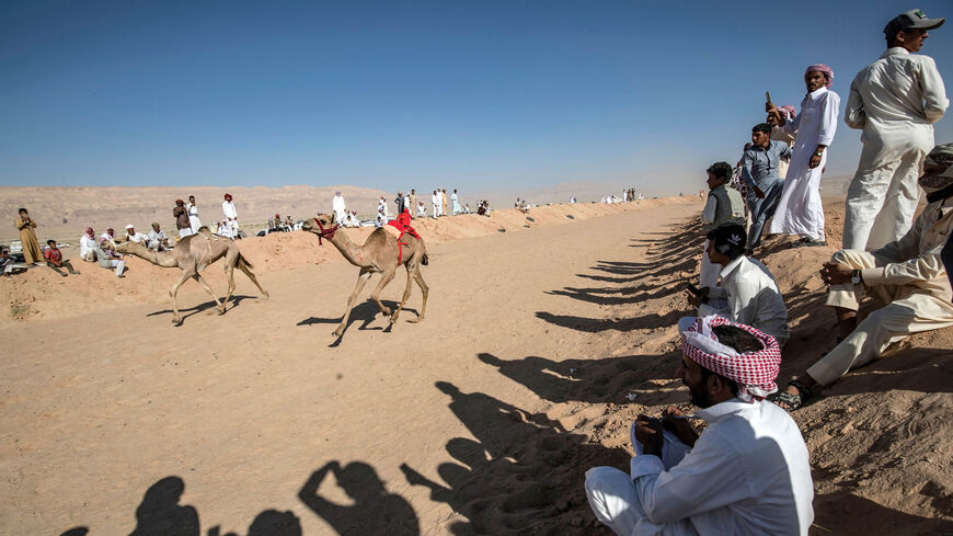 Bedouins watch a camel race in the south Sinai desert, Egypt, Sept. 12, 2020.