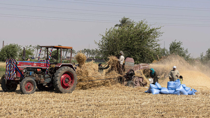 Egyptian farmers harvest wheat in Bamha village near al-Ayyat town in Giza province, Egypt, May 17, 2022.