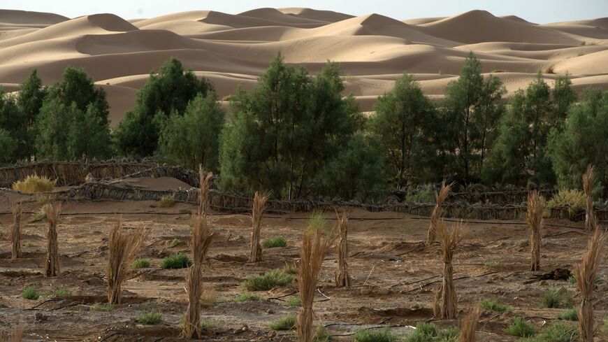 A general view shows a palm field suffering from desertification on Oct. 27, 2016, near Morocco's southeastern oasis town of Erfoud.