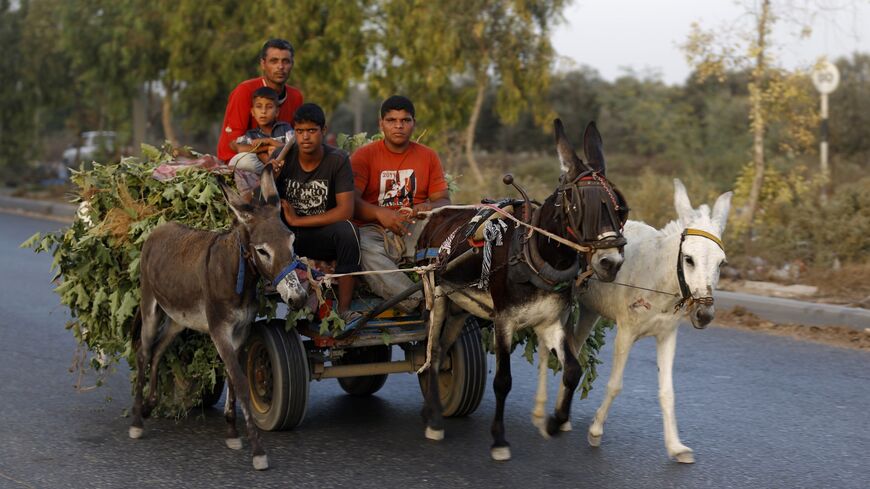 Palestinian men and children ride a donkey cart in Gaza City on Sept. 24, 2014. 