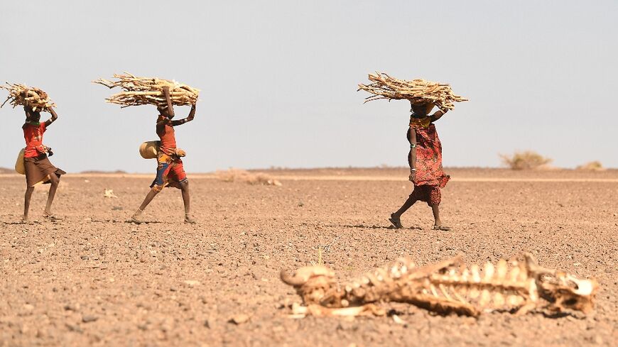 Kenyan women carrying firewood walk past a carcass of a cow in the drought-hit Loiyangalani region in July