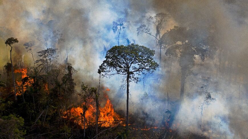 Smoke rises from an illegally lit fire in the Amazon rainforest reserve, south of Novo Progresso in Para state, Brazil, in this photo taken on August 15, 2020