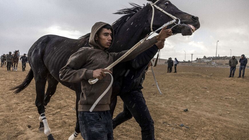Off a desert highway, Israel Bedouins rejoice in horse racing