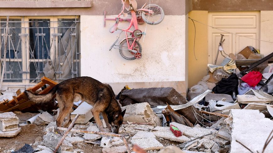 A rescue dog searches for victims and survivors in Jableh, northwest of the Syrian capital, on Sunday 